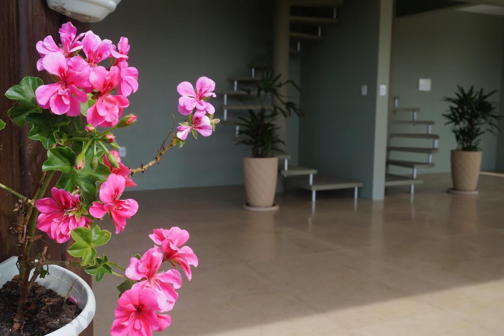 פראייה דו רוזה Pdr Suites מראה חיצוני תמונה